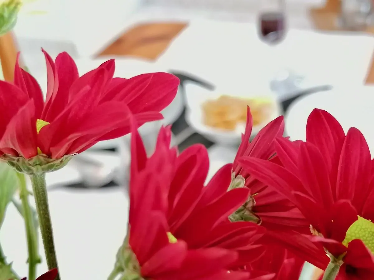 Americas Holiday Home Playa de las Americas  Apartment Playa de las Americas (Tenerife)